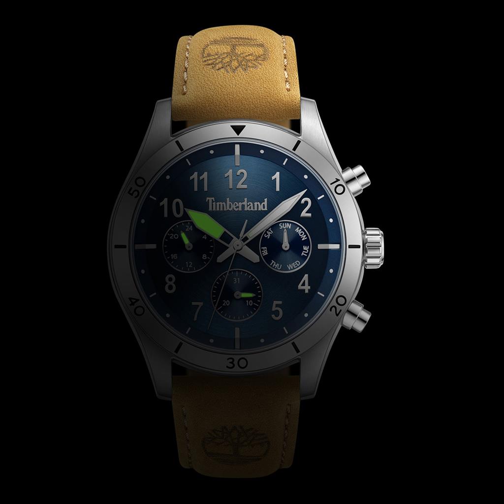 TIMBERLAND Ashmont Brown Leather Strap TDWGF0054701